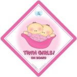 Twin On Board Car Sign, Twins On Board, Twin Girls On Board, Pink Peapod, Twins Car Sign, Twins On Board Car Sign,Decal, Bumper Sticker, Baby Car Sign, Car Signs