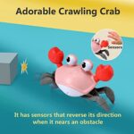 Baby Girl Toys Tummy Time: Pink Crawling Crab Babies Montessori Toy 4 5 6 7 8 9 10 11 12 18 Learning 36 Months 3 Year Old Toddler Birthday Gifts Educational Stuff for Infant Girls 0 1 2 Essentials