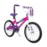 Dynacraft 8109-25ZTJ Girls Sapphire Magna Bike, Silver / Pink, 20″