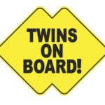 Twins on Board Vinyl Sticker Decal