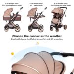 PEARLOVE 2 in 1 Convertible Baby Stroller Newborn Reversible Bassinet Pram, Foldable Pushchair with Adjustable Canopy Folding High Landscape Infant Carriage, Anti-Shock Toddler Pushchair