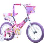 Titan Girl’s Flower Princess BMX Bike, Pink, 16-Inch