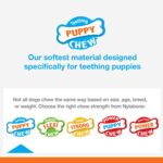 Nylabone Puppy Chew Toy Twin Pack – Puppy Chew Toys for Teething – Puppy Supplies – Chicken Flavor, Medium/Wolf (2 Count)