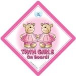 Twin On Board Car Sign, Twin Girls On Board Sign, Pink Bears, Twins On Board, Twins, Bumper Sticker, Car Sign, Decal, Grandchild