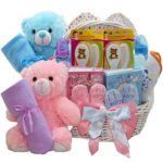 Double The Fun Twin New Baby Gift Basket, (1) Pink Girl (1) Blue Boy