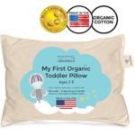 Toddler Pillow – Organic Cotton Made in USA – Washable Unisex Kids Pillow – 13X18