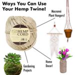 Hemptique Natural Hemp Twine Ball #HMP1 – Made with Love – Eco Friendly – Gardening – Macrame – Home Décor – Plant Hanger – Great for Jewelry Making, Crafts & More – #48~2mm (Single Pack)