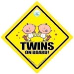 Twins On Board Car Sign, Twins On Board Car Sign New Bear, Baby Sign, Twins Car Sign, Bumper Sticker