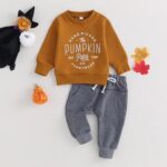 Baby Boy Halloween Clorhes Pumpkin Long Sweatshirt Pants Toddler Halloween Outfits Infant Halloween Clothing (Patch farmfresh,0-6 Months)